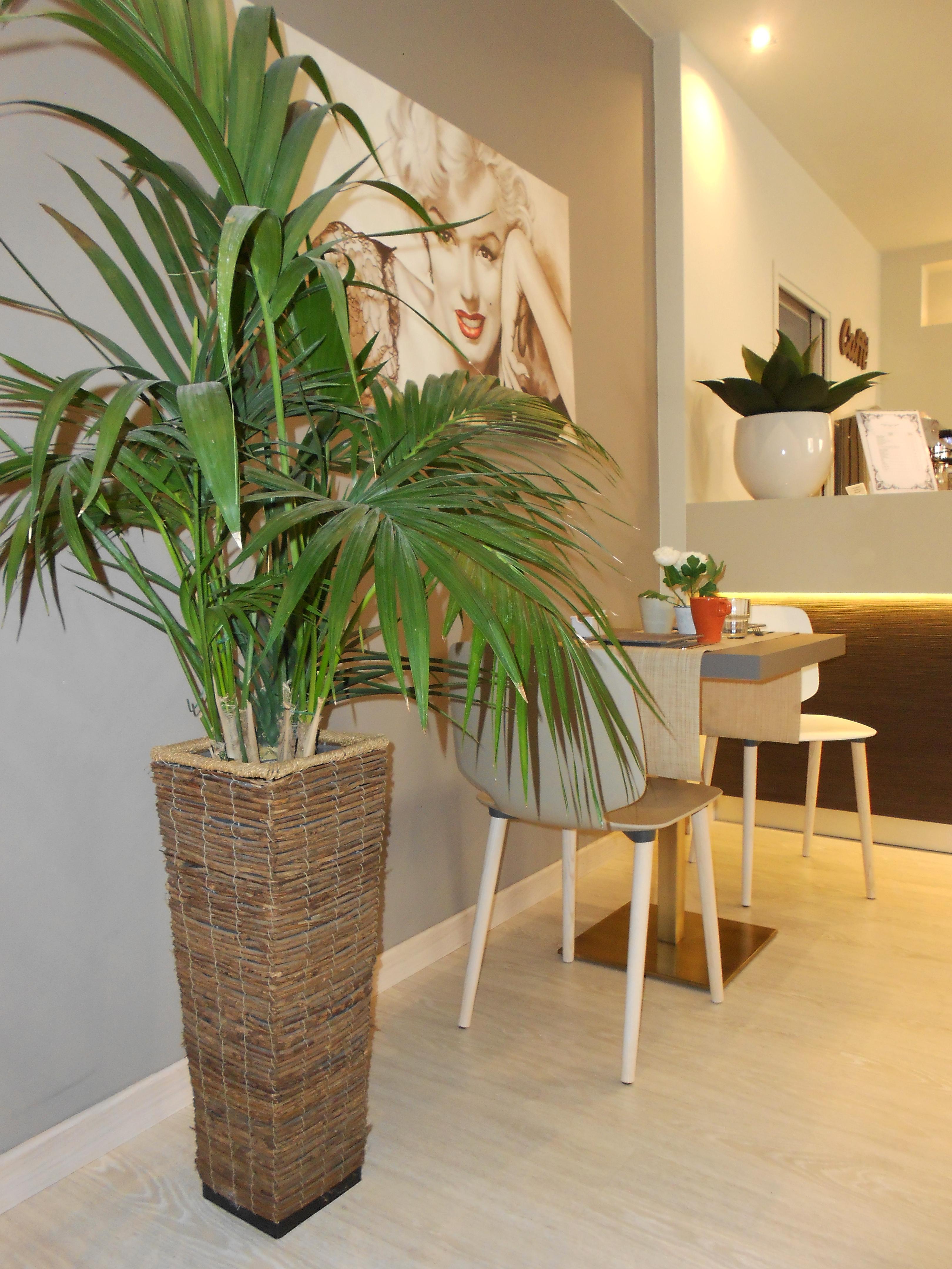 Hotel Ares Milano Eksteriør billede